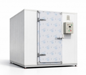 kho-lanh-mini-10-khoi-gia-tot