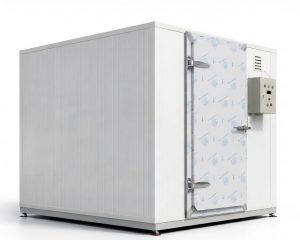 kho-lanh-mini-10-khoi-gia-tot